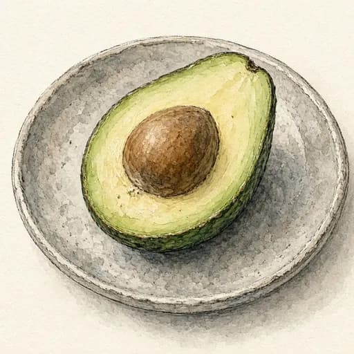 Avocado