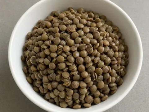Dried lentils illustration