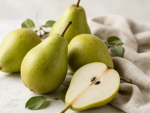 Pears illustration