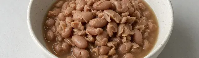 Dried pinto beans illustration